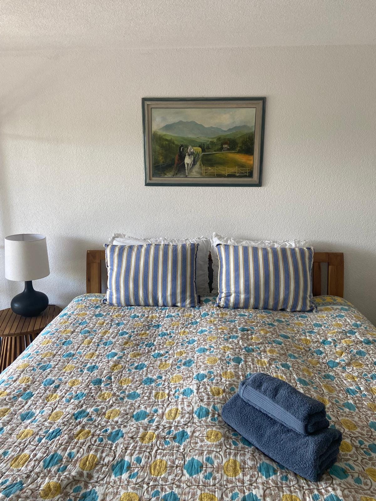 Apartman 5