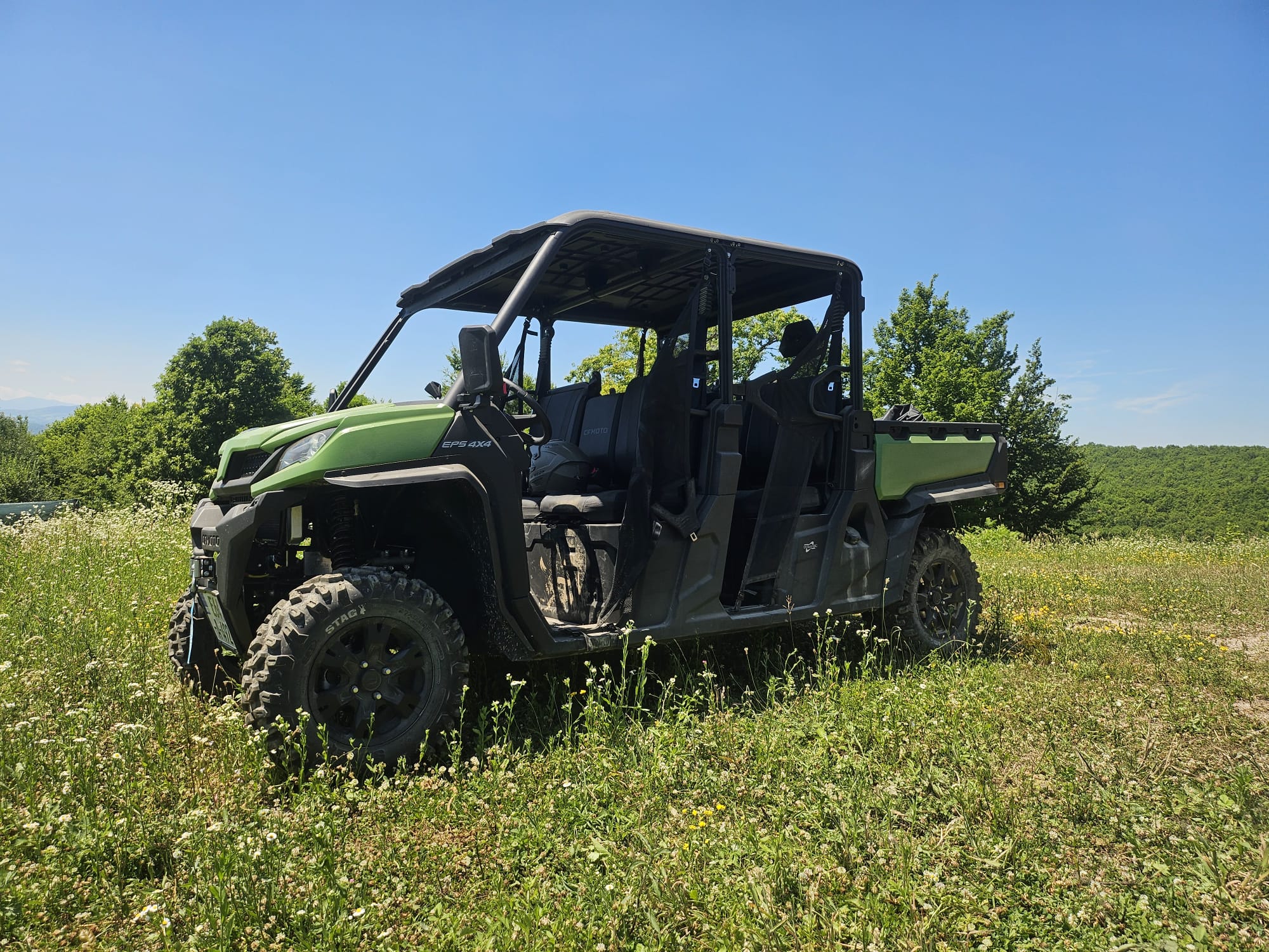 Buggy
